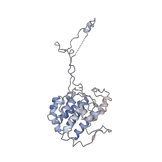 40220_8glv_Nt_v1-2
96-nm repeat unit of doublet microtubules from Chlamydomonas reinhardtii flagella