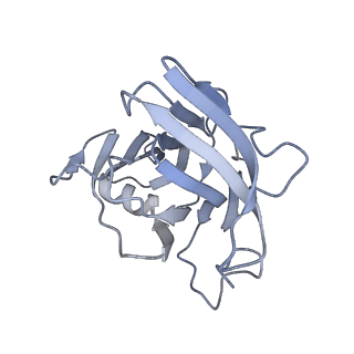 40220_8glv_Nu_v1-2
96-nm repeat unit of doublet microtubules from Chlamydomonas reinhardtii flagella