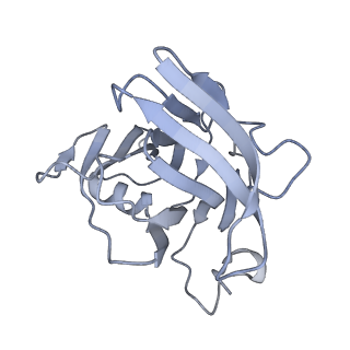 40220_8glv_Nw_v1-2
96-nm repeat unit of doublet microtubules from Chlamydomonas reinhardtii flagella