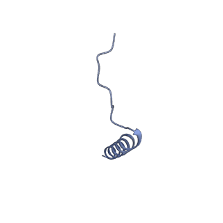 40220_8glv_Ny_v1-2
96-nm repeat unit of doublet microtubules from Chlamydomonas reinhardtii flagella