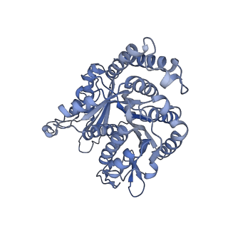 40220_8glv_O0_v1-2
96-nm repeat unit of doublet microtubules from Chlamydomonas reinhardtii flagella