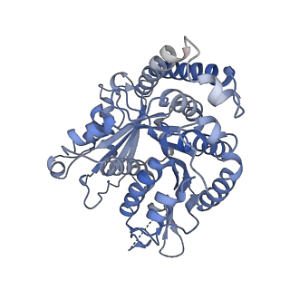 40220_8glv_O1_v1-2
96-nm repeat unit of doublet microtubules from Chlamydomonas reinhardtii flagella