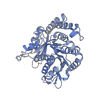 40220_8glv_O2_v1-2
96-nm repeat unit of doublet microtubules from Chlamydomonas reinhardtii flagella