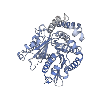 40220_8glv_O3_v1-2
96-nm repeat unit of doublet microtubules from Chlamydomonas reinhardtii flagella