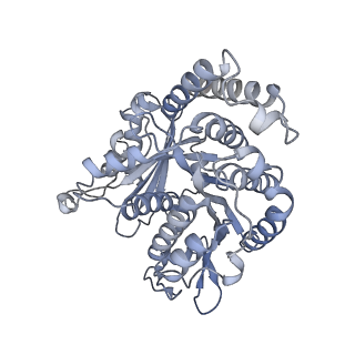 40220_8glv_O4_v1-2
96-nm repeat unit of doublet microtubules from Chlamydomonas reinhardtii flagella