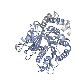 40220_8glv_O5_v1-2
96-nm repeat unit of doublet microtubules from Chlamydomonas reinhardtii flagella