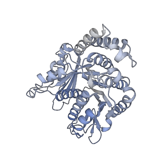 40220_8glv_O6_v1-2
96-nm repeat unit of doublet microtubules from Chlamydomonas reinhardtii flagella