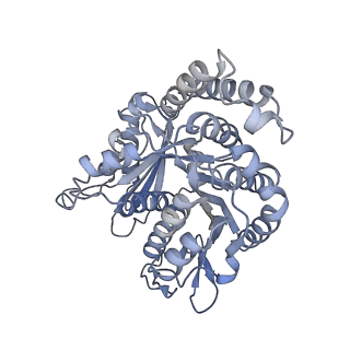40220_8glv_O8_v1-2
96-nm repeat unit of doublet microtubules from Chlamydomonas reinhardtii flagella