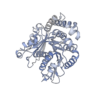 40220_8glv_O9_v1-2
96-nm repeat unit of doublet microtubules from Chlamydomonas reinhardtii flagella