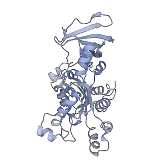40220_8glv_OY_v1-2
96-nm repeat unit of doublet microtubules from Chlamydomonas reinhardtii flagella
