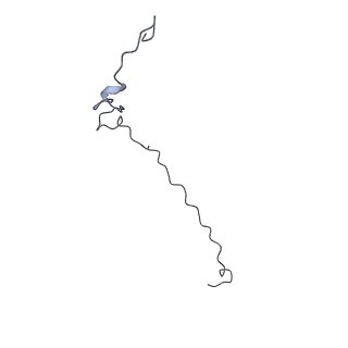 40220_8glv_Oc_v1-2
96-nm repeat unit of doublet microtubules from Chlamydomonas reinhardtii flagella