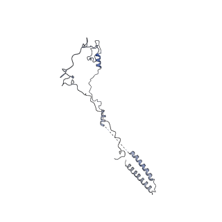 40220_8glv_Od_v1-2
96-nm repeat unit of doublet microtubules from Chlamydomonas reinhardtii flagella