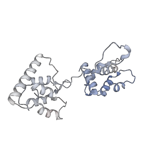 40220_8glv_Oi_v1-2
96-nm repeat unit of doublet microtubules from Chlamydomonas reinhardtii flagella