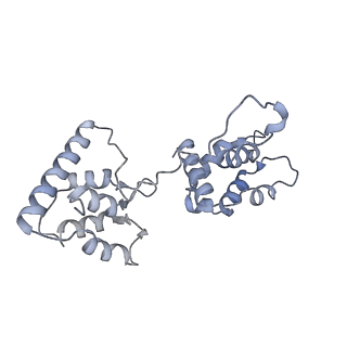 40220_8glv_Oj_v1-2
96-nm repeat unit of doublet microtubules from Chlamydomonas reinhardtii flagella