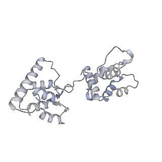 40220_8glv_Ok_v1-2
96-nm repeat unit of doublet microtubules from Chlamydomonas reinhardtii flagella