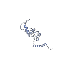 40220_8glv_Om_v1-2
96-nm repeat unit of doublet microtubules from Chlamydomonas reinhardtii flagella