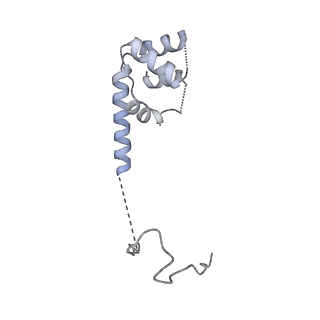 40220_8glv_Ot_v1-2
96-nm repeat unit of doublet microtubules from Chlamydomonas reinhardtii flagella