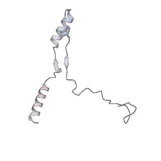 40220_8glv_Oz_v1-2
96-nm repeat unit of doublet microtubules from Chlamydomonas reinhardtii flagella