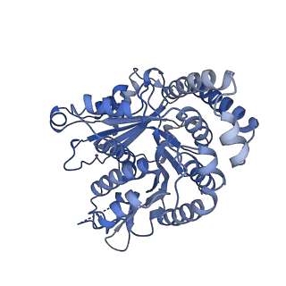 40220_8glv_P3_v1-2
96-nm repeat unit of doublet microtubules from Chlamydomonas reinhardtii flagella