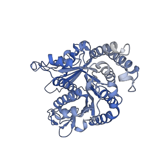 40220_8glv_P4_v1-2
96-nm repeat unit of doublet microtubules from Chlamydomonas reinhardtii flagella