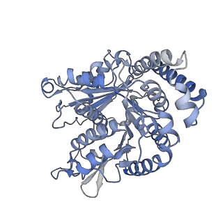 40220_8glv_P5_v1-2
96-nm repeat unit of doublet microtubules from Chlamydomonas reinhardtii flagella