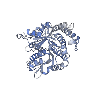 40220_8glv_P6_v1-2
96-nm repeat unit of doublet microtubules from Chlamydomonas reinhardtii flagella