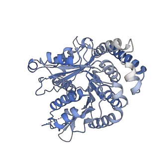 40220_8glv_P7_v1-2
96-nm repeat unit of doublet microtubules from Chlamydomonas reinhardtii flagella