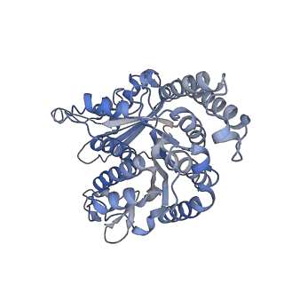 40220_8glv_P8_v1-2
96-nm repeat unit of doublet microtubules from Chlamydomonas reinhardtii flagella