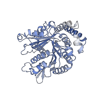 40220_8glv_P9_v1-2
96-nm repeat unit of doublet microtubules from Chlamydomonas reinhardtii flagella