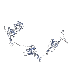 40220_8glv_PE_v1-2
96-nm repeat unit of doublet microtubules from Chlamydomonas reinhardtii flagella