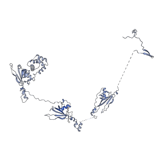 40220_8glv_PF_v1-2
96-nm repeat unit of doublet microtubules from Chlamydomonas reinhardtii flagella