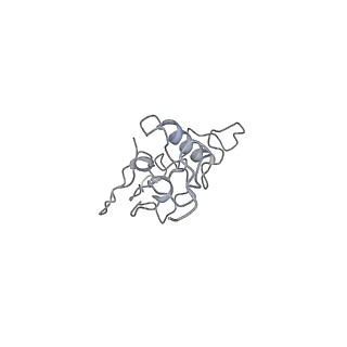 40220_8glv_PK_v1-2
96-nm repeat unit of doublet microtubules from Chlamydomonas reinhardtii flagella