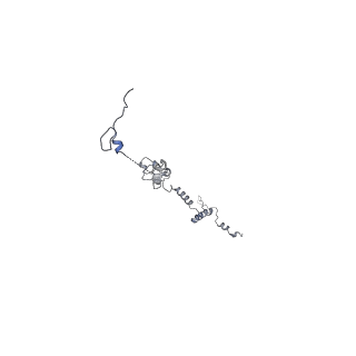 40220_8glv_PV_v1-2
96-nm repeat unit of doublet microtubules from Chlamydomonas reinhardtii flagella