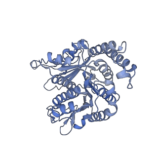 40220_8glv_Q0_v1-2
96-nm repeat unit of doublet microtubules from Chlamydomonas reinhardtii flagella