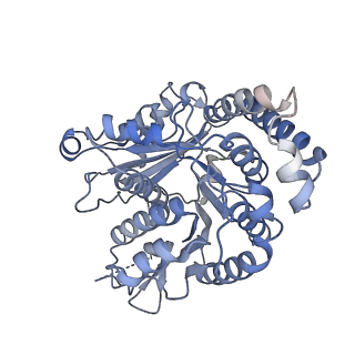 40220_8glv_Q1_v1-2
96-nm repeat unit of doublet microtubules from Chlamydomonas reinhardtii flagella