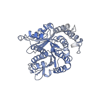 40220_8glv_Q2_v1-2
96-nm repeat unit of doublet microtubules from Chlamydomonas reinhardtii flagella