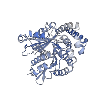 40220_8glv_Q3_v1-2
96-nm repeat unit of doublet microtubules from Chlamydomonas reinhardtii flagella