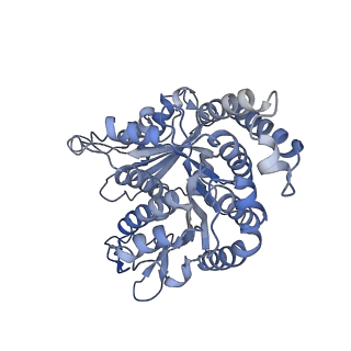 40220_8glv_Q4_v1-2
96-nm repeat unit of doublet microtubules from Chlamydomonas reinhardtii flagella
