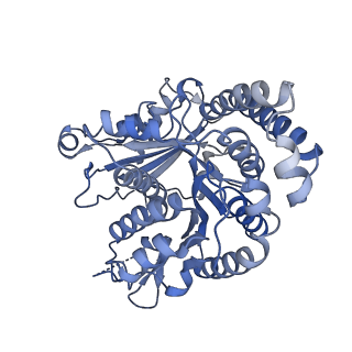 40220_8glv_Q5_v1-2
96-nm repeat unit of doublet microtubules from Chlamydomonas reinhardtii flagella
