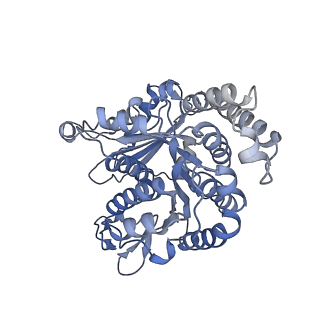 40220_8glv_Q6_v1-2
96-nm repeat unit of doublet microtubules from Chlamydomonas reinhardtii flagella