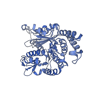 40220_8glv_Q8_v1-2
96-nm repeat unit of doublet microtubules from Chlamydomonas reinhardtii flagella