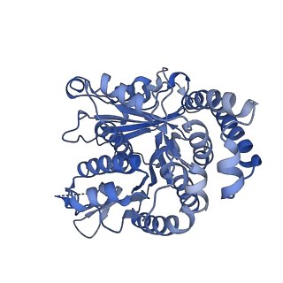 40220_8glv_Q9_v1-2
96-nm repeat unit of doublet microtubules from Chlamydomonas reinhardtii flagella