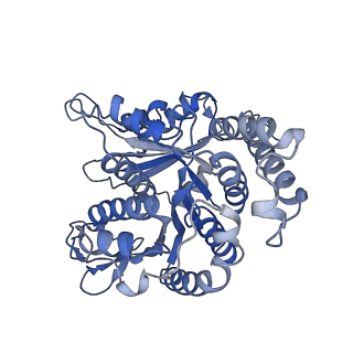 40220_8glv_R0_v1-2
96-nm repeat unit of doublet microtubules from Chlamydomonas reinhardtii flagella