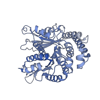 40220_8glv_R1_v1-2
96-nm repeat unit of doublet microtubules from Chlamydomonas reinhardtii flagella