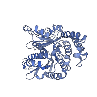 40220_8glv_R2_v1-2
96-nm repeat unit of doublet microtubules from Chlamydomonas reinhardtii flagella