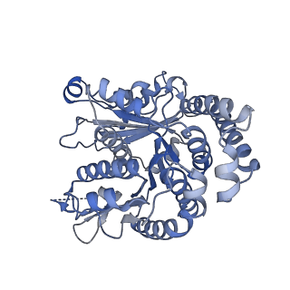40220_8glv_R3_v1-2
96-nm repeat unit of doublet microtubules from Chlamydomonas reinhardtii flagella
