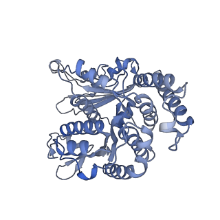 40220_8glv_R4_v1-2
96-nm repeat unit of doublet microtubules from Chlamydomonas reinhardtii flagella