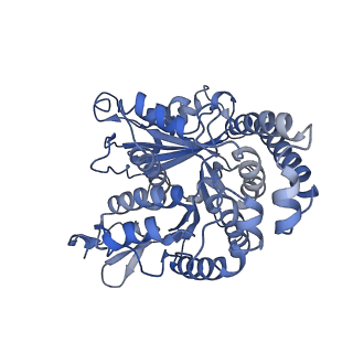 40220_8glv_R5_v1-2
96-nm repeat unit of doublet microtubules from Chlamydomonas reinhardtii flagella