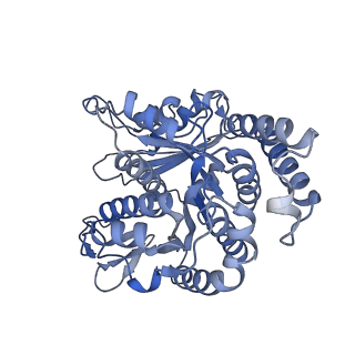 40220_8glv_R6_v1-2
96-nm repeat unit of doublet microtubules from Chlamydomonas reinhardtii flagella