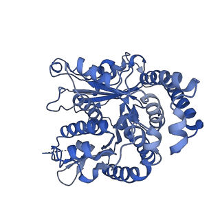 40220_8glv_R7_v1-2
96-nm repeat unit of doublet microtubules from Chlamydomonas reinhardtii flagella